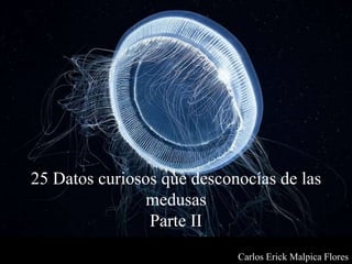 25 Datos curiosos que desconocías de las
medusas
Parte II
Carlos Erick Malpica Flores
 
