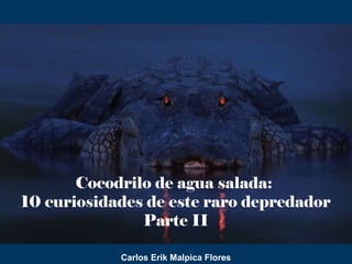 Cocodrilo de agua salada:
10 curiosidades de este raro depredador
Parte II
Carlos Erik Malpica Flores
 