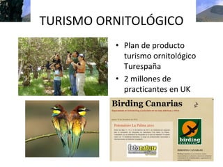 TURISMO ORNITOLÓGICO
          • Plan de producto 
            turismo ornitológico 
            Turespaña
          • 2 millones de 
            practicantes en UK
 
