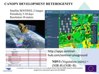 This project has received funding from the European Union’s Horizon 2020 research and innovation
programme under grant agreement No 689687
CANOPY DEVELOPMENT HETEROGENITY
Satellite SENTINEL 2 images
Periodicity 5-10 days
Resolution 10 meters
NDVI (Vegetation index) =
(NIR-R)/(NIR+R)
http://apps.sentinel-
hub.com/sentinel-playground
 