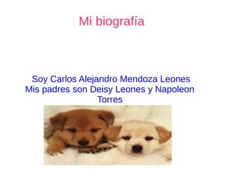 Mi biografía
Soy Carlos Alejandro Mendoza Leones
Mis padres son Deisy Leones y Napoleon
Torres
 