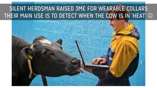 SILENT HERDSMAN RAISED 3M£ FOR WEARABLE COLLARS
THEIR MAIN USE IS TO DETECT WHEN THE COW IS IN ‘HEAT’ J
 