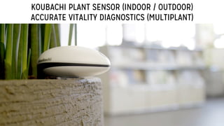KOUBACHI PLANT SENSOR (INDOOR / OUTDOOR)
ACCURATE VITALITY DIAGNOSTICS (MULTIPLANT)
 