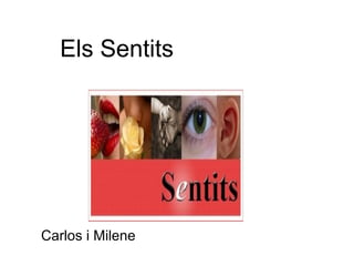 Els Sentits




Carlos i Milene
 