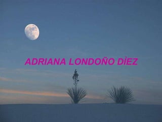ADRIANA LONDOÑO DÌEZ 