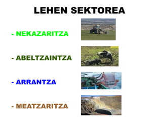 LEHEN SEKTOREA

- NEKAZARITZA


- ABELTZAINTZANTZA


- ARRANTZA


- MEATZARITZA
 