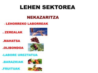 LEHEN SEKTOREA
              NEKAZARITZA
 -   LEHORREKO LABORREAK

. ZEREALAK

.MAHATSA

.OLIBONDOA

-LABORE UREZTATUA

.BARAZKIAK

.FRUITUAK
 
