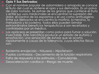  Opio Y Sus Derivados:
 Con el nombre popular de adormidera o amapola se conoce
el fruto del cual se obtiene el opio y sus derivados. Es un polvo
de color tostado. Se extrae de los granos que contiene el fruto
y entre sus usos medicinales se encuentran la supresión del
dolor, el control de los espasmos y el uso como antitusígeno.
Entre sus derivados se encuentra la morfina, la heroína, la
metadona y la codeína, todos ellos pueden brindar
extraordinarios beneficios terapéuticos si son recetados y
controlados por un médico.
 Los opiáceos se presentan como polvo para fumar o solución
inyectable. Este narcótico produce un estado de euforia y
ensoñación; una sensación de éxtasis que se acorta
rápidamente a causa de la tolerancia, cuyos efectos físicos
son:
 Epidermis enrojecida – Náuseas – Hipotensión
 Pupilas contraídas – Decaimiento de la función respiratoria
 Falta de respuesta a los estímulos – Convulsiones
 Desaceleración cardíaca – Riesgo de muerte.
 