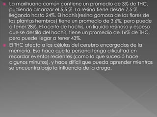  La marihuana común contiene un promedio de 3% de THC,
pudiendo alcanzar el 5,5 %. La resina tiene desde 7,5 %
llegando hasta 24%. El hachís(resina gomosa de las flores de
las plantas hembras) tiene un promedio de 3.6%, pero puede
a tener 28%. El aceite de hachís, un líquido resinoso y espeso
que se destila del hachís, tiene un promedio de 16% de THC,
pero puede llegar a tener 43%.
 El THC afecta a las células del cerebro encargadas de la
memoria. Eso hace que la persona tenga dificultad en
recordar eventos recientes (como lo que sucedió hace
algunos minutos), y hace difícil que pueda aprender mientras
se encuentra bajo la influencia de la droga.
 
