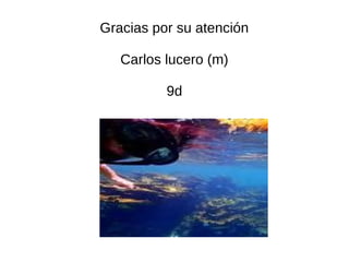 Gracias por su atención

   Carlos lucero (m)

          9d
 