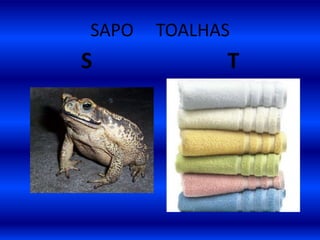 SAPO TOALHAS
S T
