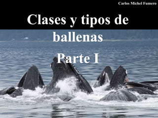 Clases y tipos de
ballenas
Parte I
Carlos Michel Fumero
 