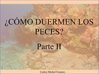 ¿CÓMO DUERMEN LOS
PECES?
Parte II
Carlos Michel Fumero
 