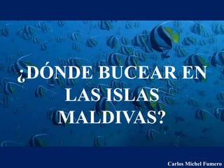 ¿DÓNDE BUCEAR EN
LAS ISLAS
MALDIVAS?
Carlos Michel Fumero
 