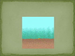 Carlos míriam good one