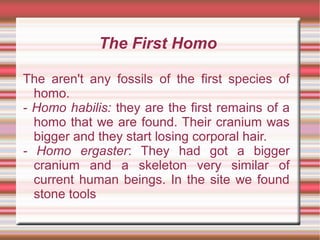 The First Homo
The aren't any fossils of the first species of
homo.
- Homo habilis: they are the first remains of a
homo that we are found. Their cranium was
bigger and they start losing corporal hair.
- Homo ergaster: They had got a bigger
cranium and a skeleton very similar of
current human beings. In the site we found
stone tools
 