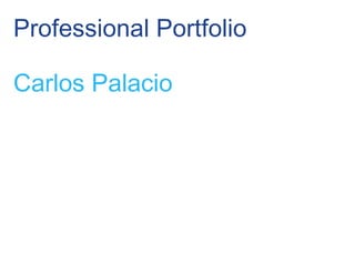 Professional Portfolio Carlos Palacio 