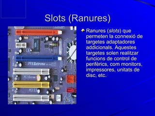 Slots (Ranures) Ranures ( slots ) que permeten la connexió de targetes adaptadores addicionals. Aquestes targetes solen realitzar funcions de control de perifèrics, com monitors, impressores, unitats de disc, etc. 