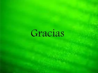 Gracias
 