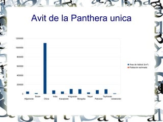 Avit de la Panthera unica

1200000



1000000



800000


                                                                                                                        Área de hábitat (km²)
600000
                                                                                                                        Población estimada


400000



200000



     0
                       Bután           India             Kirguistán            Nepal              Tayikistán
          Afganistán           China           Kazajistán           Mongolia           Pakistán            Uzbekistán
 