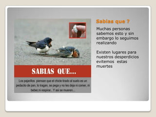 Sabias que ?
Muchas personas
sabemos esto y sin
embargo lo seguimos
realizando

Existen lugares para
nuestros desperdicios
evitemos estas
muertes
 