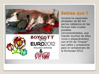 Sabias que ?
Ucrania ha asesinado
alrededor de 80 mil
perros callejeros en las
formas más crueles
posibles
(envenenándolos, que
mando muchos de ellos
vivos o disparándoles)
con el fin de "limpiar"
sus calles y prepararse
para el campeonato de
la Eurocopa 2012.
 