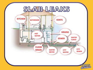 FLOOR DRAIN VENTS KITCHEN BATHROOM DRAINS SEWER HOT WATER WATER METER CITY WATER CITY SEWER WATER CURVE 