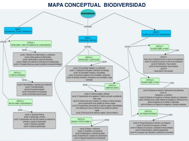 48+ Mapa Conceptual De Biodiversidad Simple Mantica