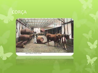 CORÇA
