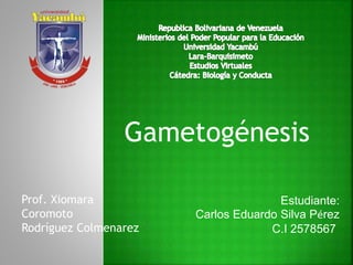 Gametogénesis
Prof. Xiomara
Coromoto
Rodríguez Colmenarez
Estudiante:
Carlos Eduardo Silva Pérez
C.I 2578567
 