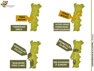 CONFERÊNCIASDEALJUSTREL,2014.03.31
PÊRA
ROCHA*
*VARIEDADE
ÚNICA
*A EXPLORAR
VARIEDADES
PORTUGUESAS
*QUALIDADE
TODO O ANO
*EM EXPANSÂO
P/ EUROPA
 