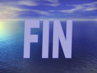 FIN 