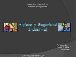 Universidad Fermín Toro 
Facultad de Ingeniería 
Participante: 
Carlos E. Vidal C. 
C.I.: 21.460.660 
Cabudare, Noviembre 2014 
 