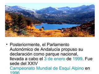 Posteriormente, el Parlamento Autonómico de Andalucía propuso su declaración como parque nacional, llevada a cabo el  3 de enero  de  1999 . Fue sede del XXIV  Campeonato Mundial de Esquí Alpino  en  1996   