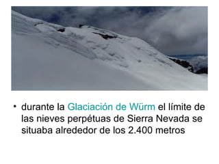durante la  Glaciación de  Würm  el límite de las nieves perpétuas de Sierra Nevada se situaba alrededor de los 2.400 metros  