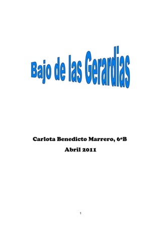 Carlota Benedicto Marrero, 6ºB
          Abril 2011




              1
 