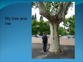 My tree and me 