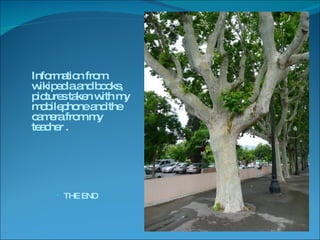 Information from wikipedia and books, pictures taken with my mobilephone and the camera from my teacher . THE END 