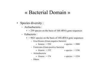 « Bacterial Domain »
• Species diversity :
– Archaebacteria :
• > 259 species on the basis of 16S rRNA gene sequences
– Eubacteria :
• > 9021 species on the basis of 16S rRNA gene sequences
– Gracillicutes (Gram-negative bacteria)
» Genera : > 538 » species : > 2000
– Firmicutes (Gram-positive bacteria)
» Genera : > 235 » species : > 1346
– Actinobacteria
» Genera : > 174 » species : > 1534
– Others
 