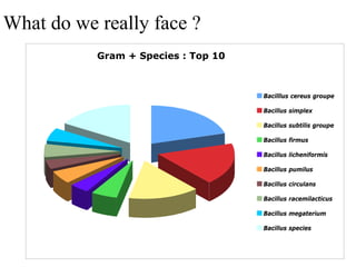 What do we really face ?
Gram + Species : Top 10
Bacilllus cereus groupe
Bacillus simplex
Bacillus subtilis groupe
Bacillus firmus
Bacillus licheniformis
Bacillus pumilus
Bacillus circulans
Bacillus racemilacticus
Bacillus megaterium
Bacillus species
 