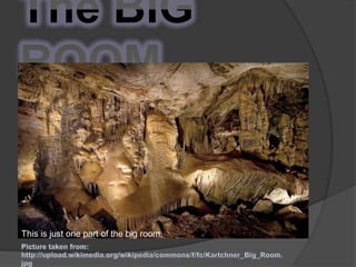 The BIG ROOMThis is just one part of the big room.Picture taken from: http://upload.wikimedia.org/wikipedia/commons/f/fc/Kartchner_Big_Room.jpg