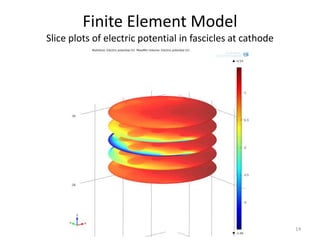 Finite Element Model
Slice plots of electric potential in fascicles at cathode
14
 