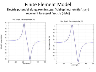 Finite Element Model
Electric potential along axon in superficial epineurium (left) and
recurrent laryngeal fascicle (right)
15
 