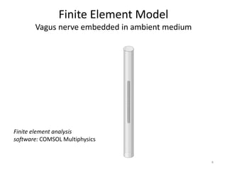 Finite Element Model
Vagus nerve embedded in ambient medium
4
Finite element analysis
software: COMSOL Multiphysics
 