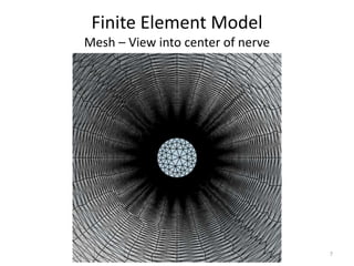 Finite Element Model
Mesh – View into center of nerve
7
 