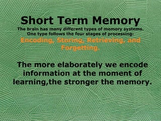 Short Term Memory
The brain has many different types of memory systems.
One type follows the four stages of processing:
Encoding, Storing, Retrieving, and
Forgetting.
The more elaborately we encode
information at the moment of
learning,the stronger the memory.
 