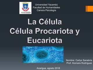 Universidad Yacambú
Facultad de Humanidades
Carrera Psicología
Acarigua, agosto 2018
Nombre: Carlys Sanabria
Prof: Xiomara Rodríguez
 