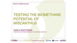 #adrdforum @adbioresources
CARLY WHITTAKER
AGRICULTURE SYSTEMS SPECIALIST, ROTHAMSTED RESEARCH
TESTING THE BIOMETHANE
POTENTIAL OF
MISCANTHUS
 