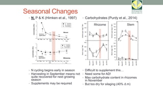 Seasonal Changes
• N, P & K (Himken et al., 1997)
• N cycling begins early in season
• Harvesting in September means not
quite recovered for next growing
season
• Supplements may be required
• Carbohydrates (Purdy et al., 2014)
• Difficult to supplement this…
• Need some for AD!
• Max carbohydrate content in rhizomes
in November
• But too dry for silaging (40% d.m)
Rhizome Stem
 
