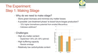 The Experiment:
Step 1: Making Silage
• Why do we need to make silage?
• Store green biomass and minimise dry matter losses
• A possible ‘pre-treatment phase’ to boost future biogas production?
• 15% higher biomethane potential from ensiled Miscanthus
• Cellulase additives?
• Challenges
• High dry matter content
• September~35% (25–30% optimal)
• High buffering capacity
• Resists ensilage
• Relatively low carbohydrate content
 
